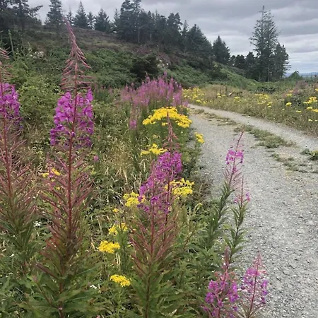 Kilcavan Chalet غوري