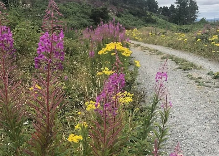 Kilcavan Chalet Gorey